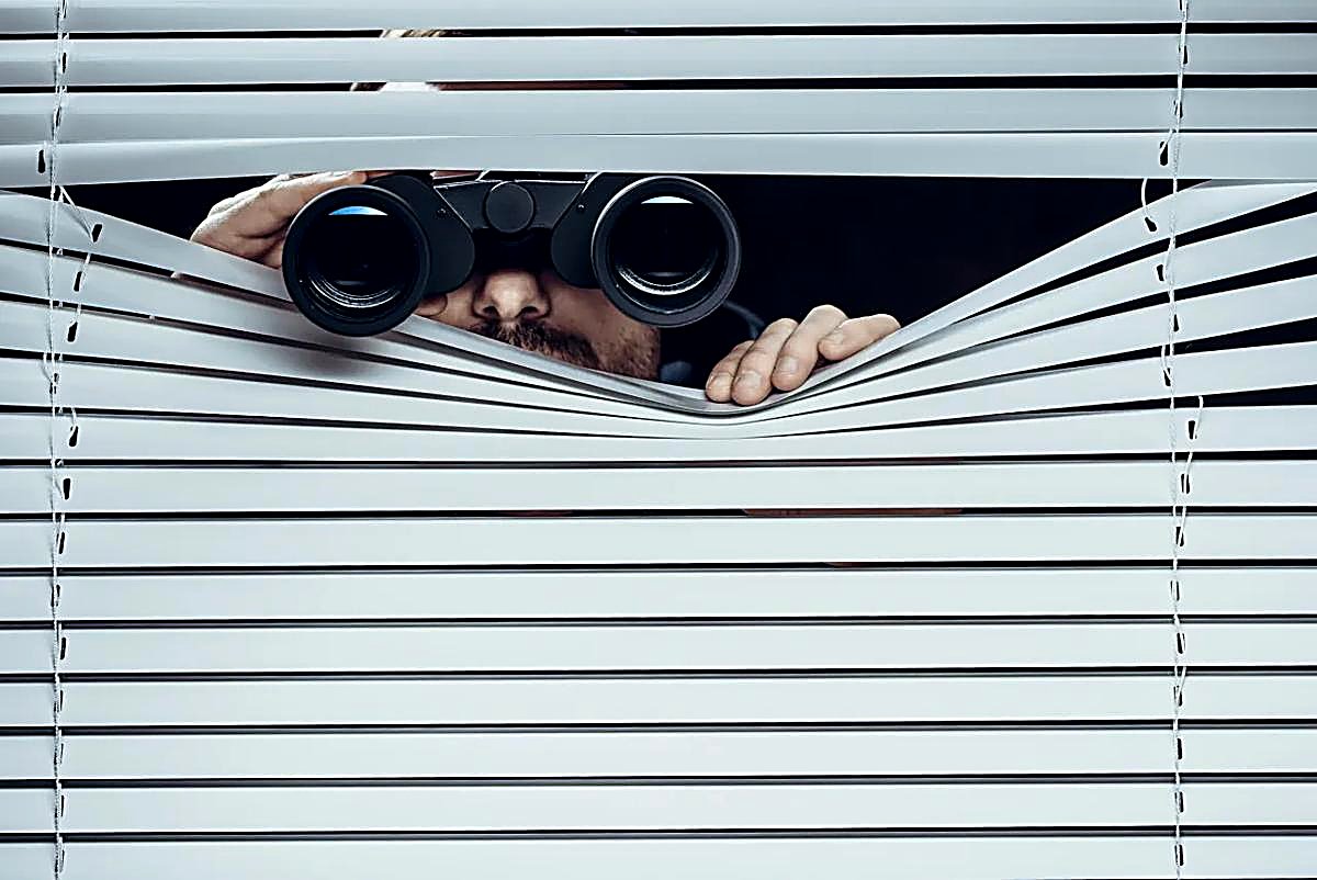 Privacy blinds